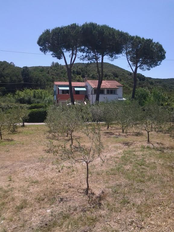 Hotel Rustichello Marina di Campo Exterior photo